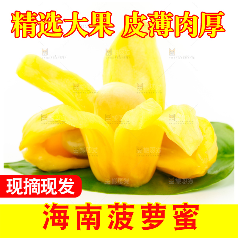白底上放着新鲜菠萝蜜