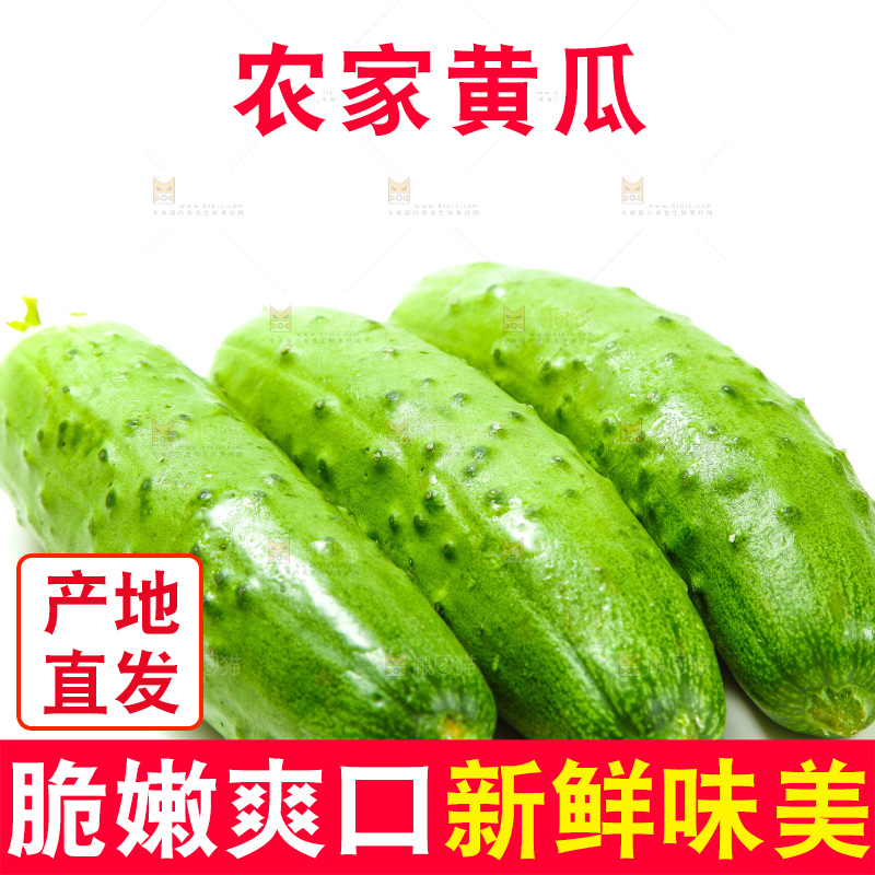 白底上放着旱黄瓜