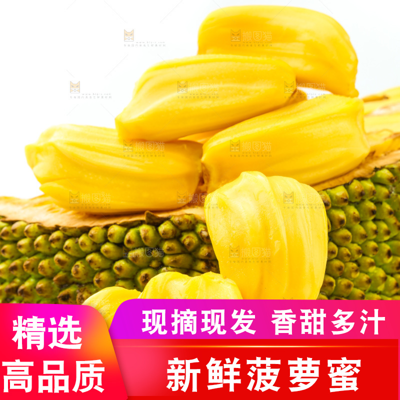 浅底上的黄肉菠萝蜜