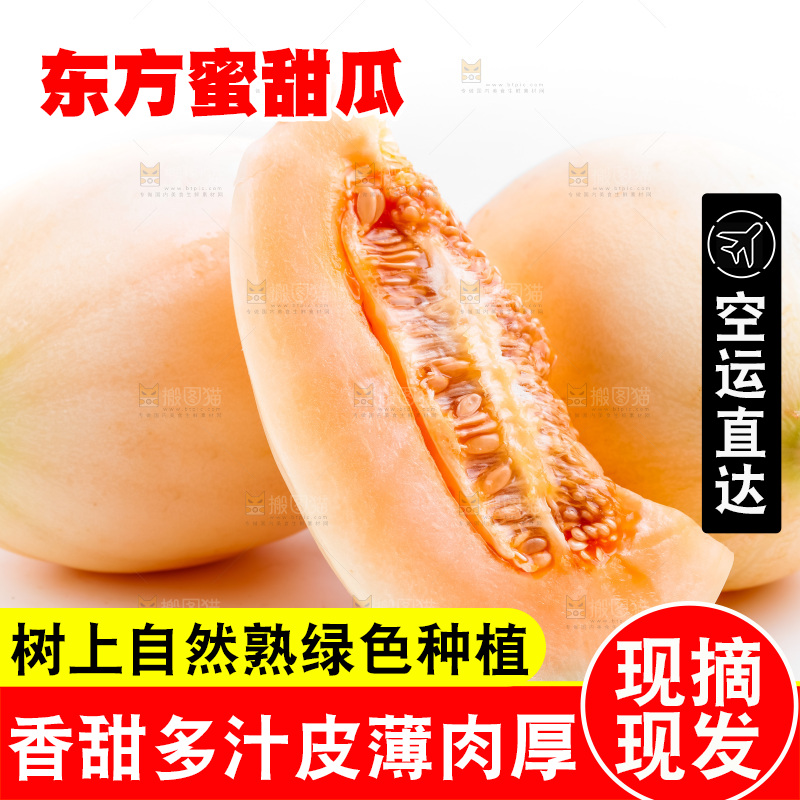 山东东方蜜瓜放在白底上