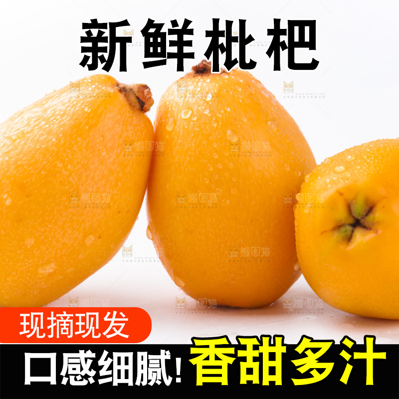 白底上的枇杷