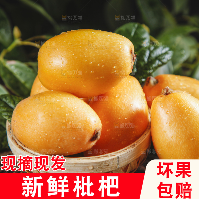 篮子里装着米易枇杷