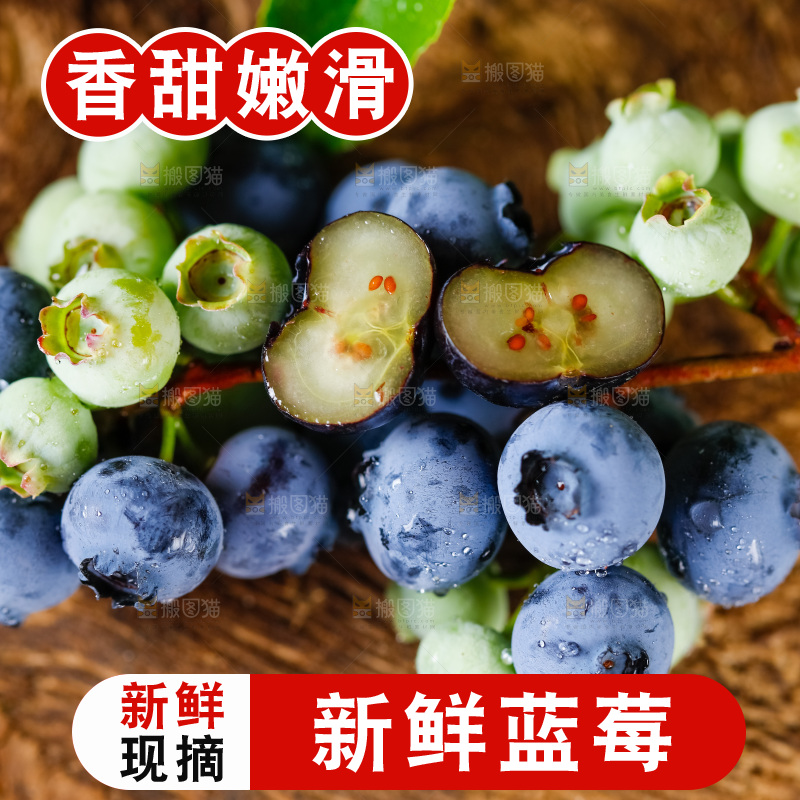 木底上放着山东蓝莓鲜果