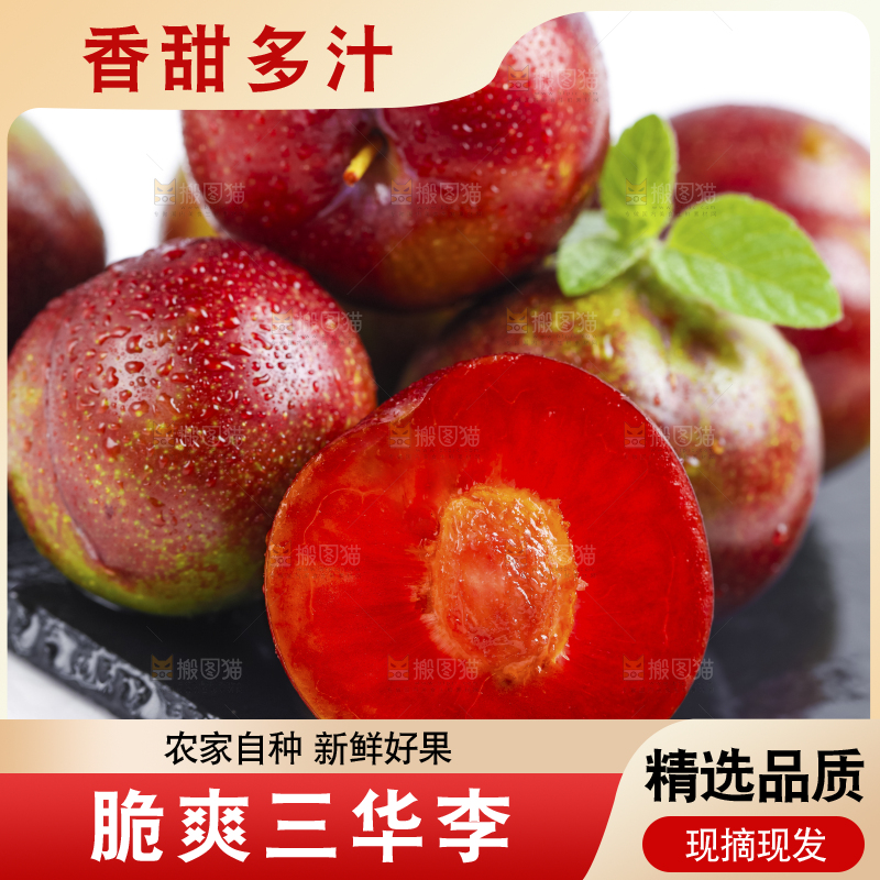 黑石板上摆放着钱排三华李