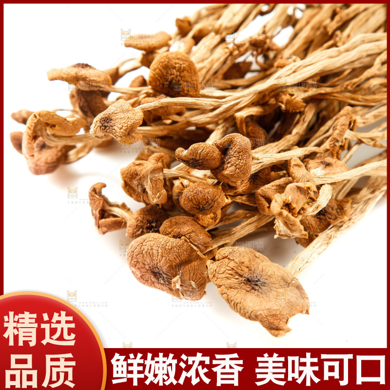 白底上的茶树菇