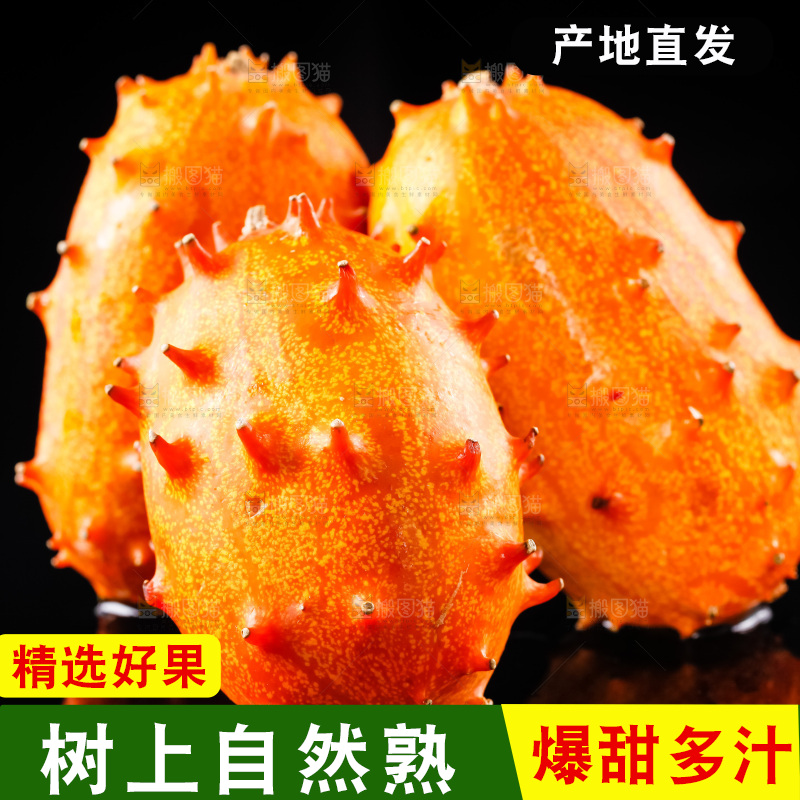 黑底上放着刺角瓜