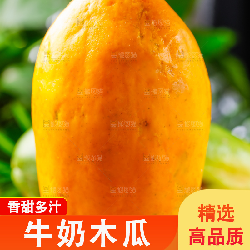 篮子上放着红心木瓜