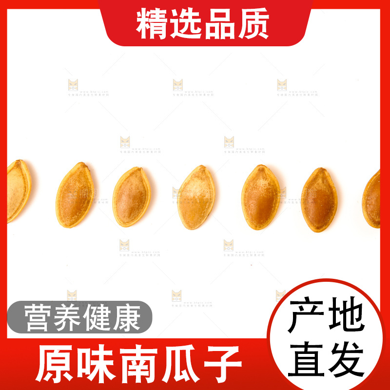 白底上的南瓜子