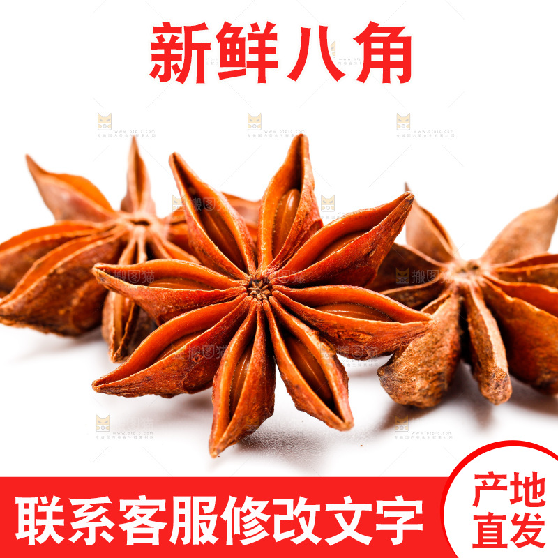 白底上的大茴香