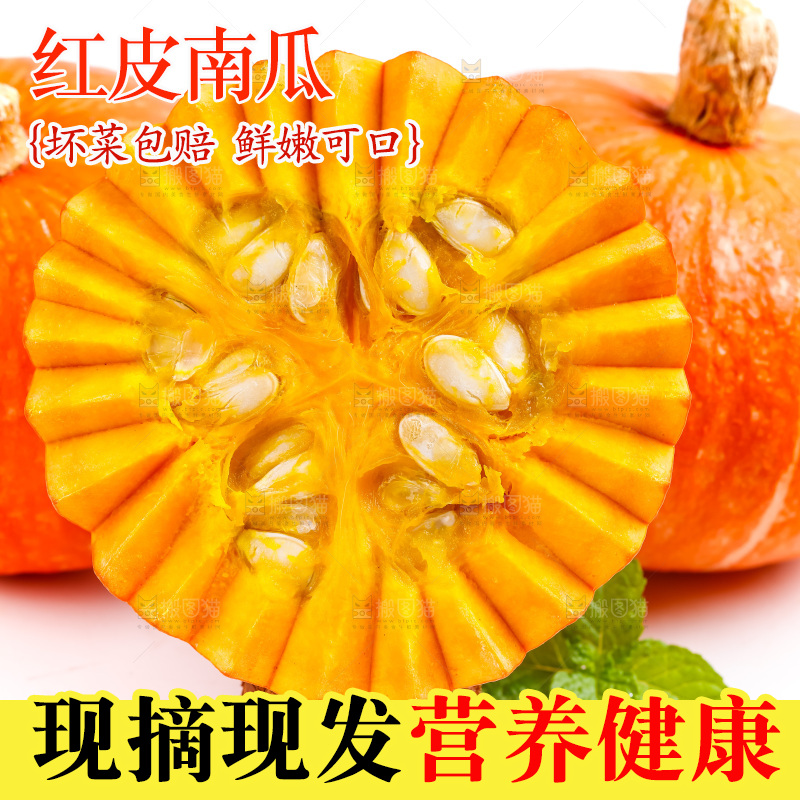 浅底上摆放着山东红皮南瓜