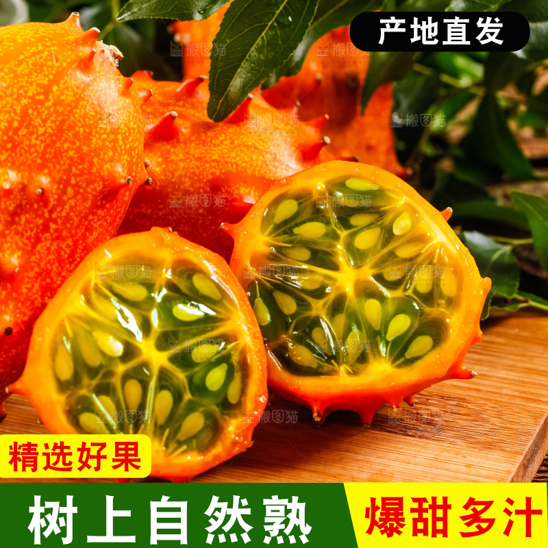 木底上摆放着海参果
