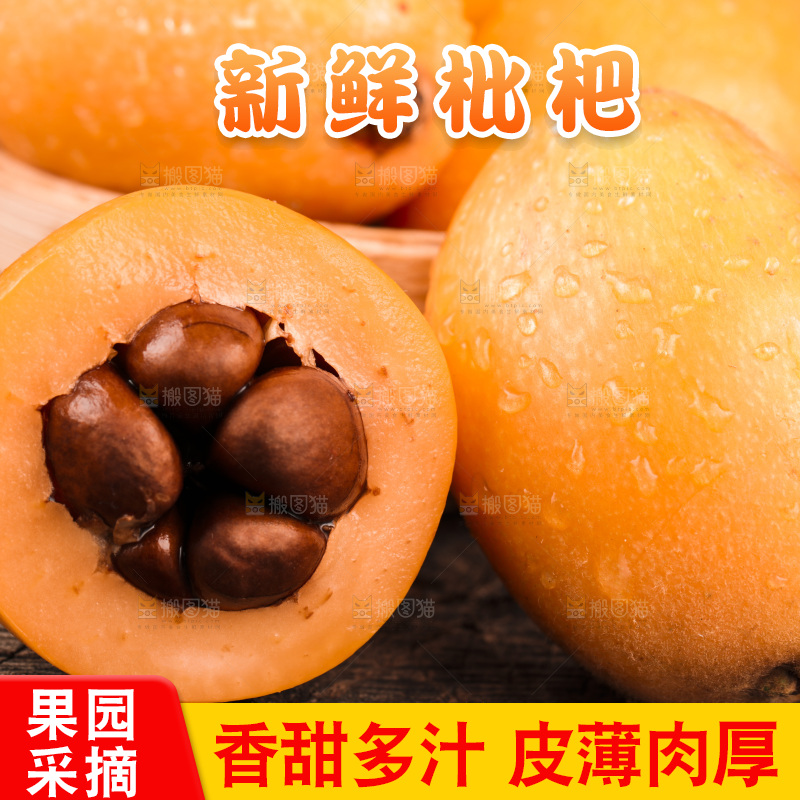 深底上的攀枝花枇杷
