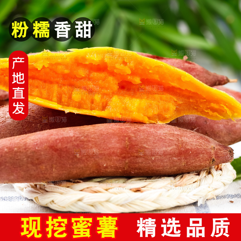格子底上摆放着红薯