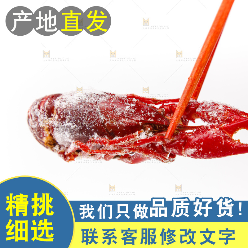 白底上的小龙虾