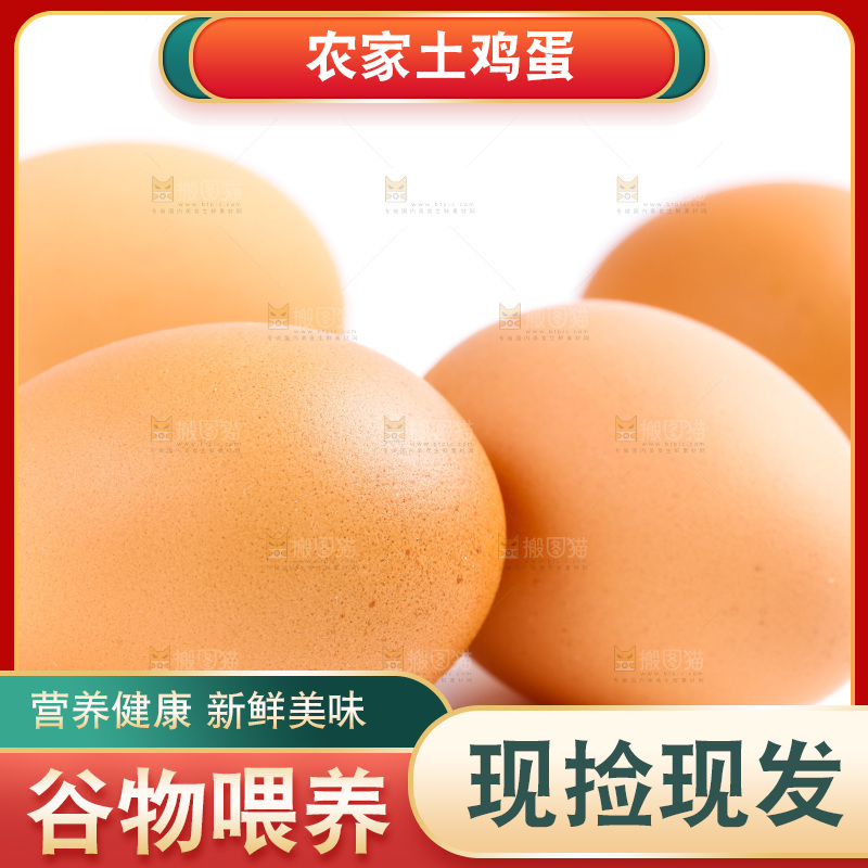 新鲜土鸡蛋放在白底上