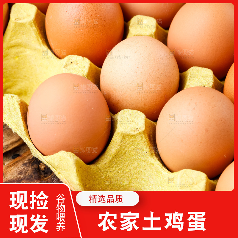 木底上放着新鲜鸡蛋