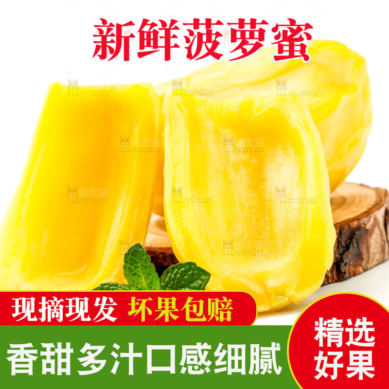 白底上的海南菠萝蜜