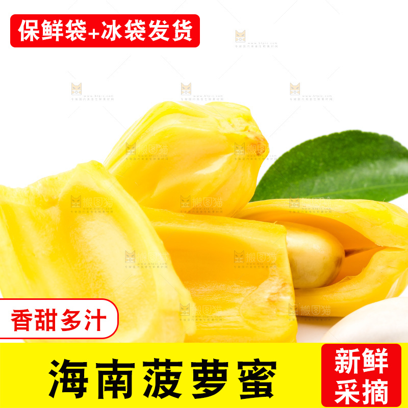 浅底上的海南菠萝蜜