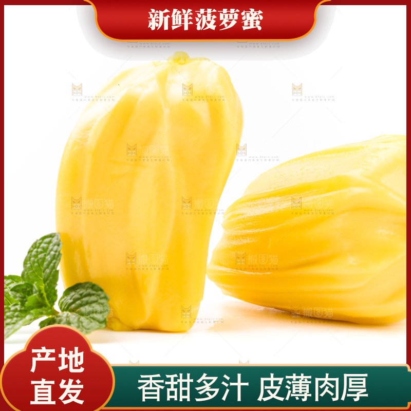 白底上的黄肉菠萝蜜