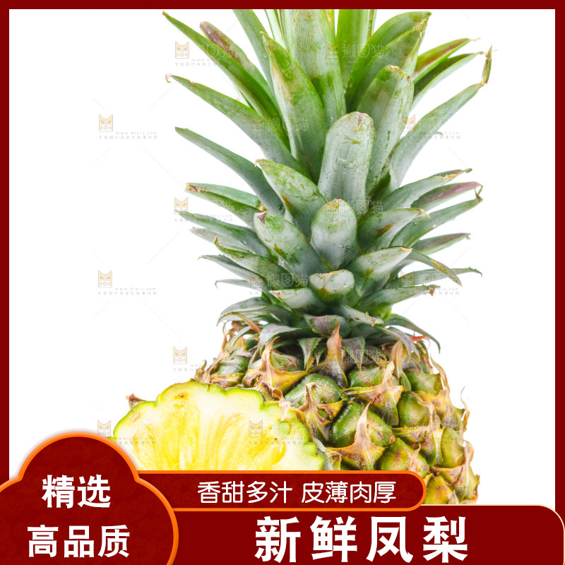 浅底上的海南凤梨