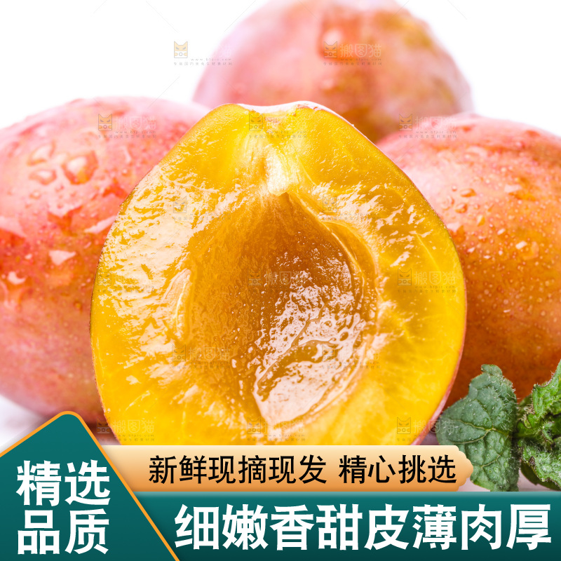 白底上的新疆法兰西西梅