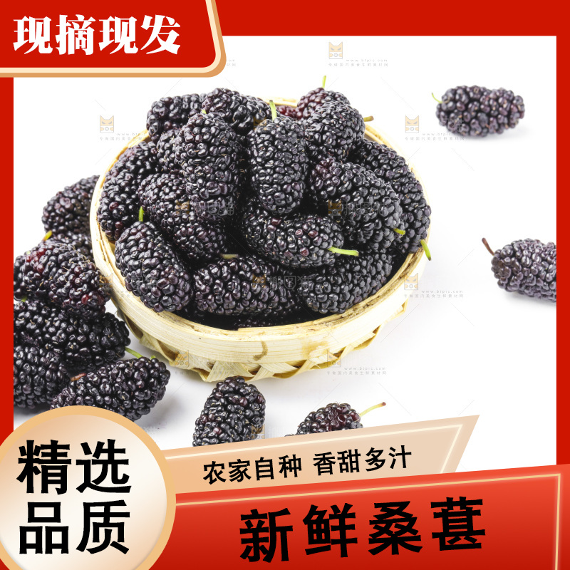 白底上摆放着桑葚