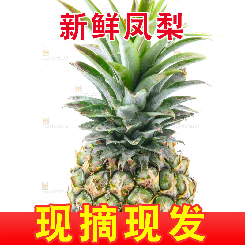 白底上的金钻凤梨