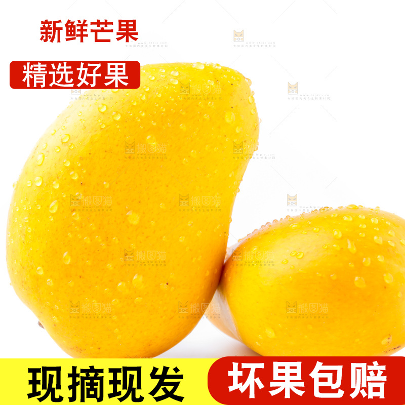 浅底上的海南小台农芒