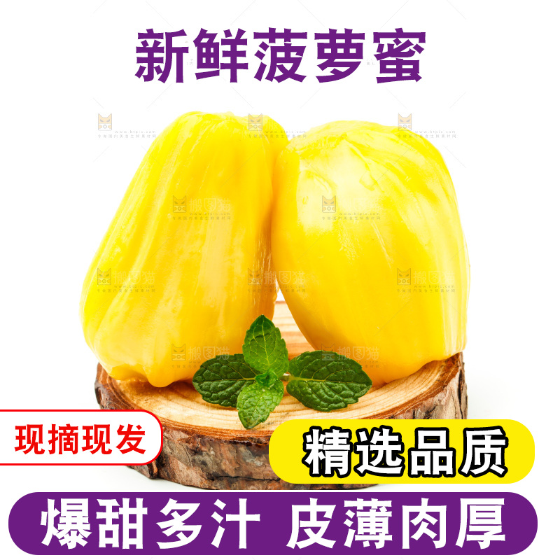 白底上的海南菠萝蜜