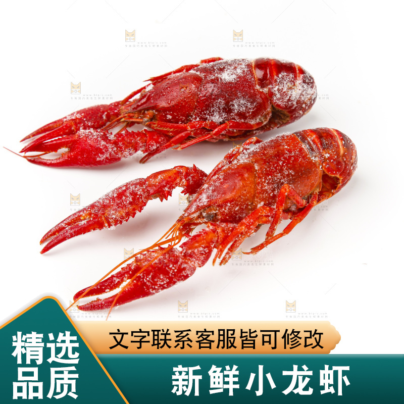 白底上的小龙虾