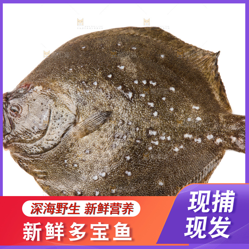 盘子里装着多宝鱼