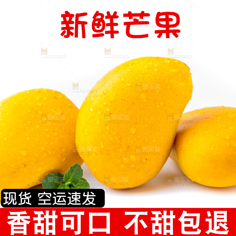 浅底上的海南小台农芒