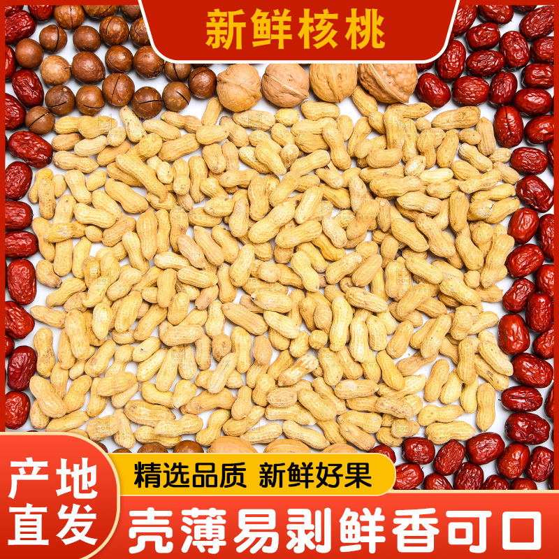 坚果纹理素材