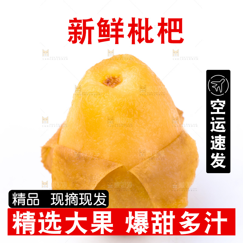 白底上的枇杷
