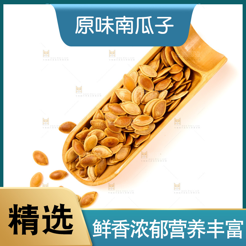 白底上的南瓜子