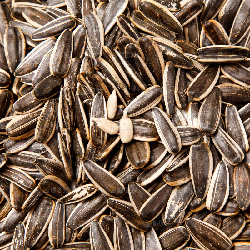 白底上放着瓜子