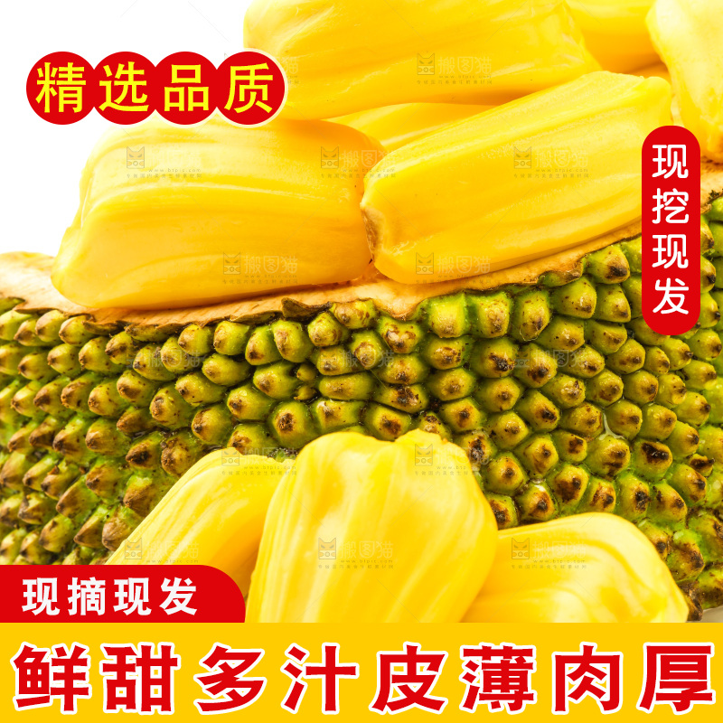 浅底上的黄肉菠萝蜜