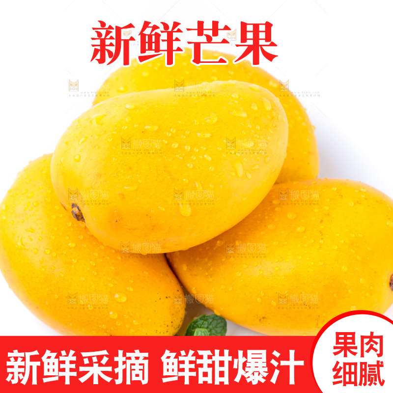 浅底上的海南小台农芒