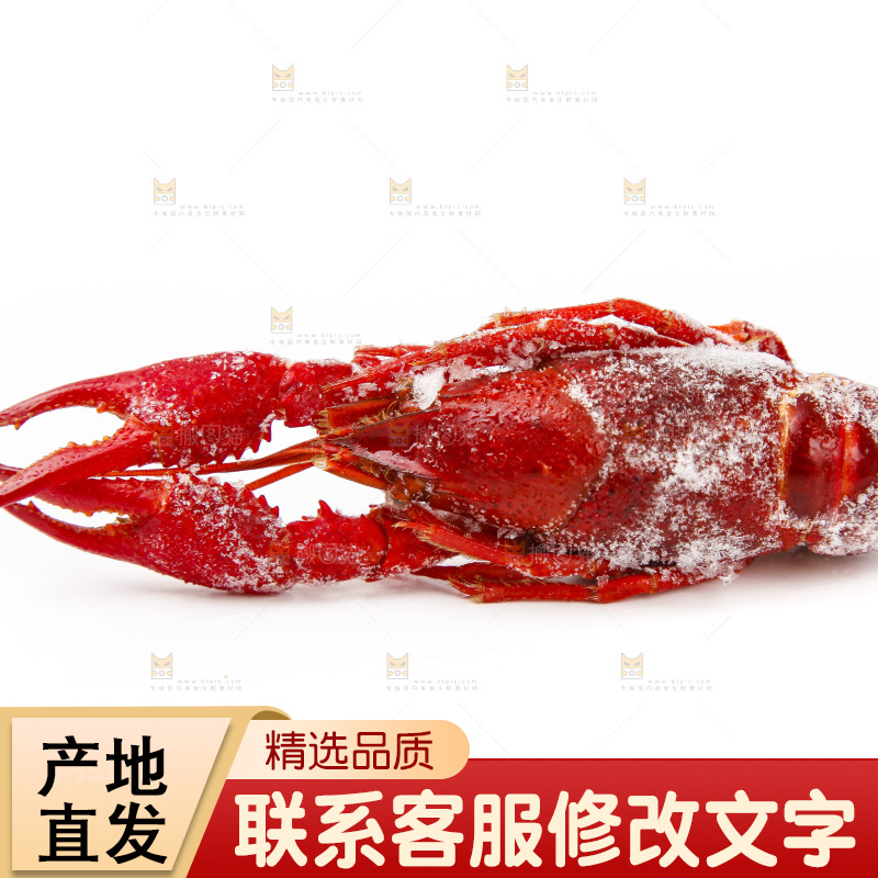 白底上的小龙虾