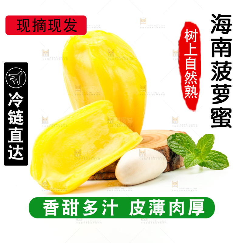 白底上的海南菠萝蜜