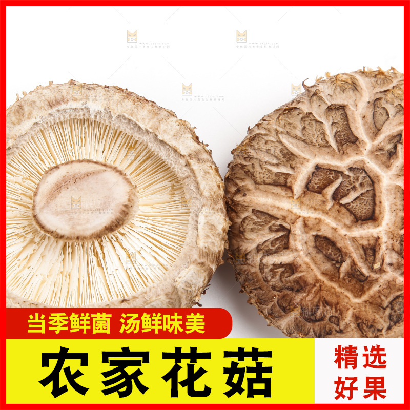 白底上放着花菇