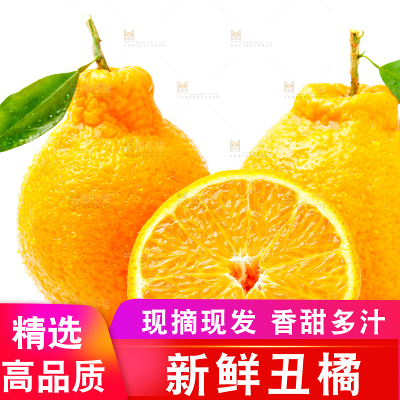 白底上的丑柑