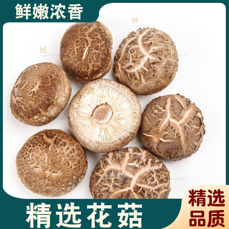 白底上放着花菇
