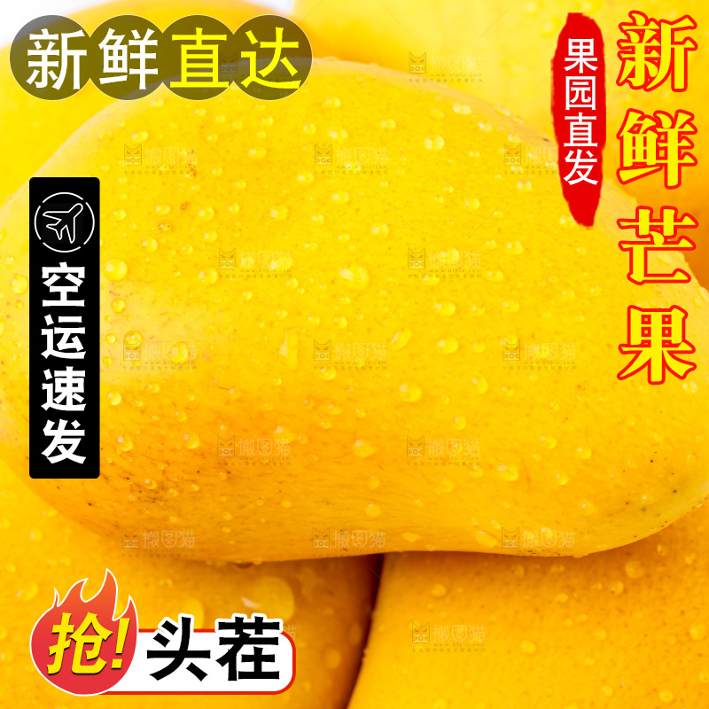 浅底上的海南小台农芒