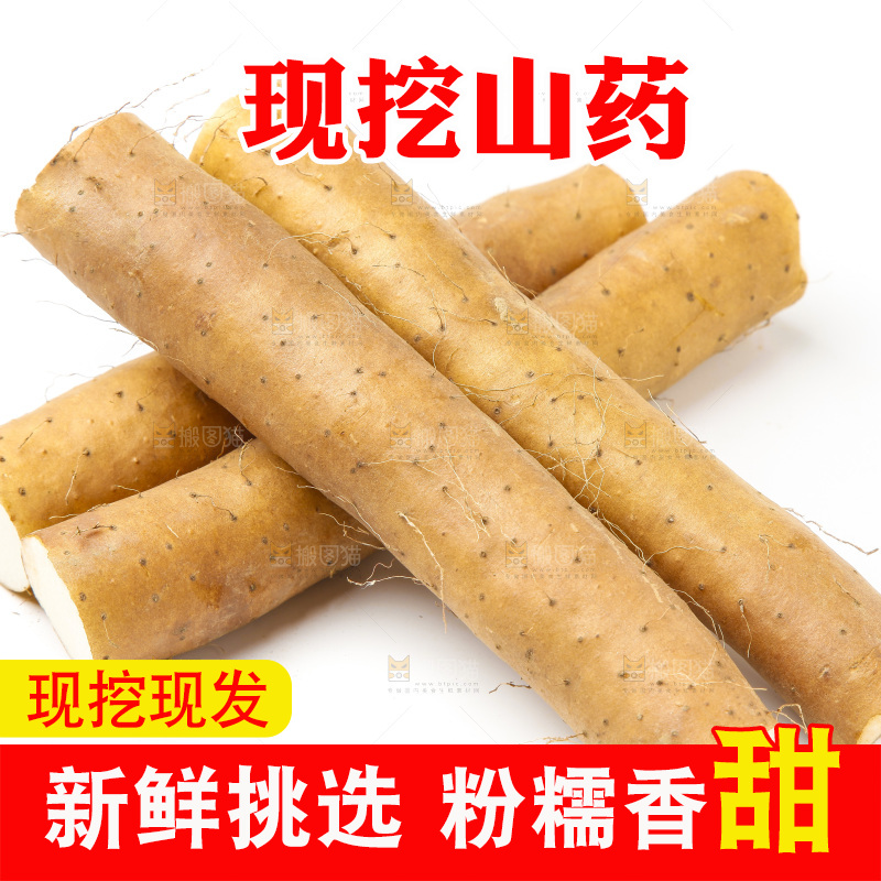 浅底上的新鲜山药