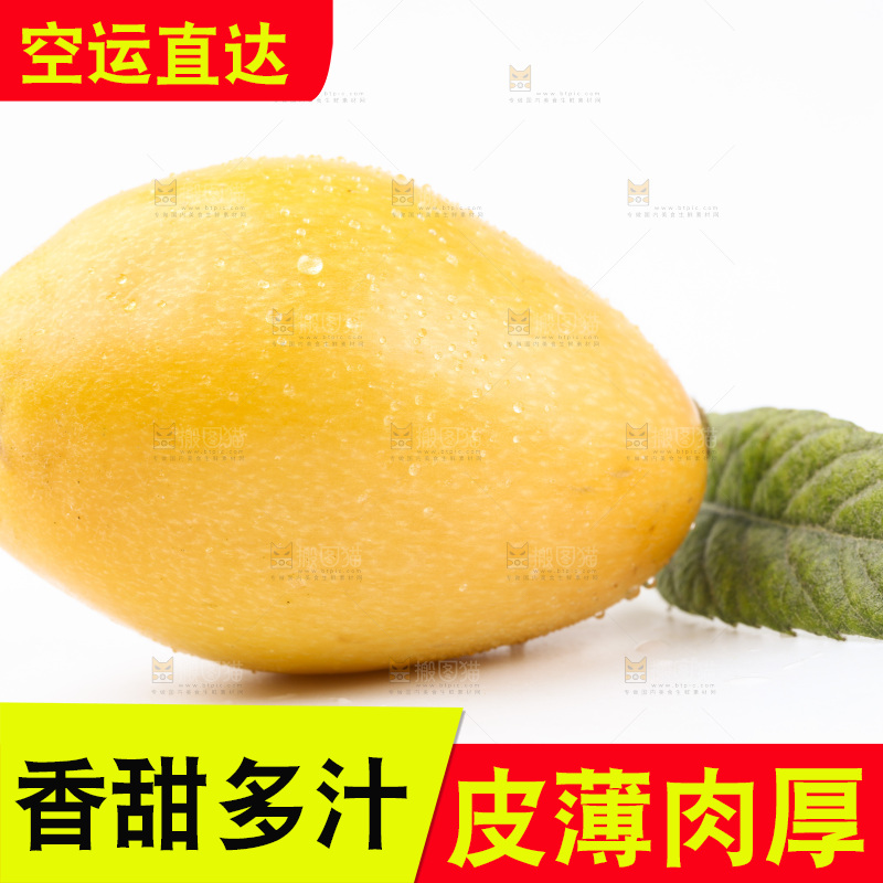 白底上放着枇杷