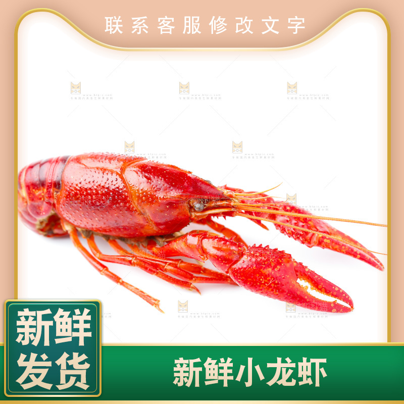 白底上放着秘制小龙虾