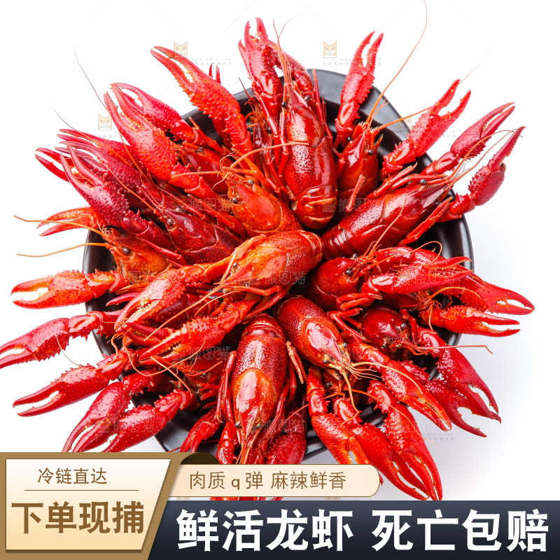 碟子里装着清蒸小龙虾