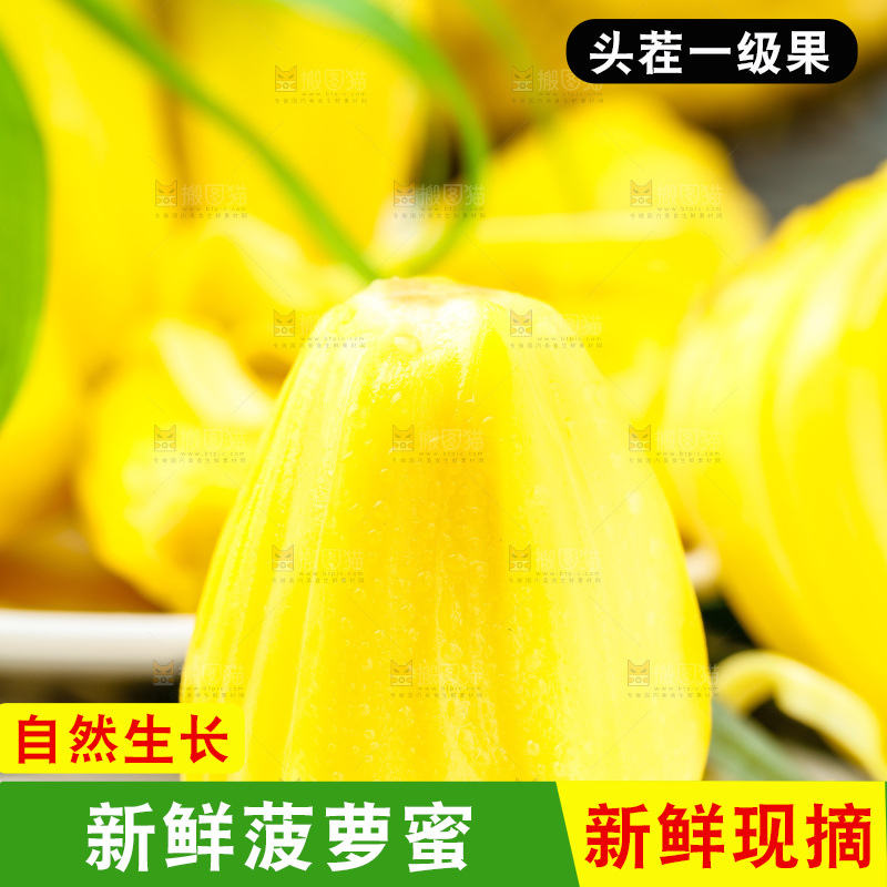 勺子里的黄肉菠萝蜜