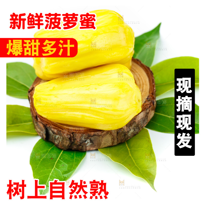 白底上的黄肉菠萝蜜